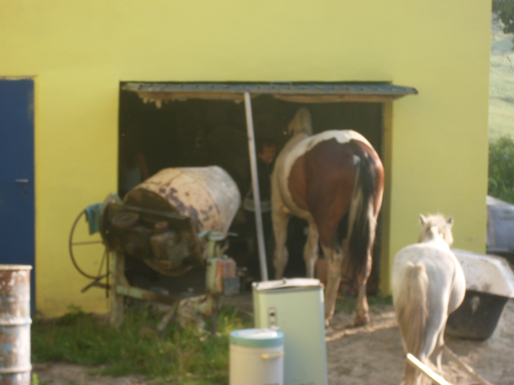 2 koumáci